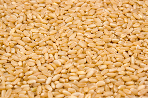 A background image showing details of wheat seeds.
