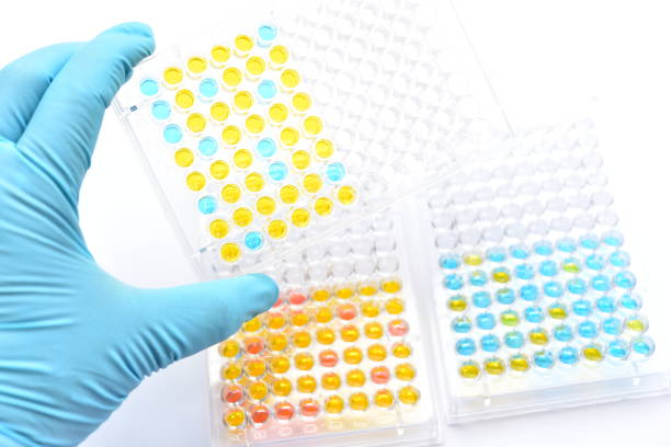 ensayo inmunoabsorbente ligado a enzimas o placa elisa - microplate fotografías e imágenes de stock