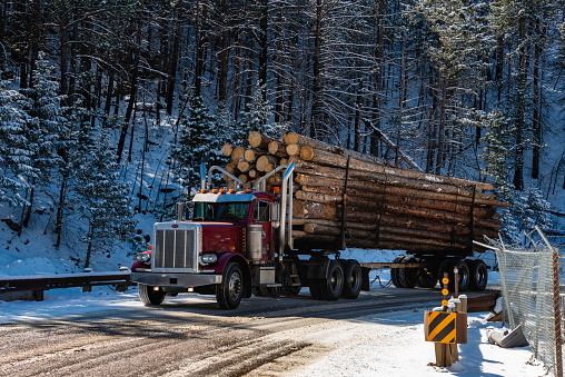 A person transporting freshly cut lumber on an icy road in Poudre Canyon outside of Fort Collins, Colorado.