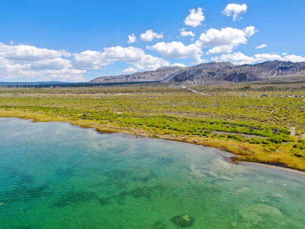 aerial view of mono lake blue clear water - mono county imagens e fotografias de stock