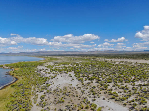 aerial view of mono lake blue clear water - mono county imagens e fotografias de stock