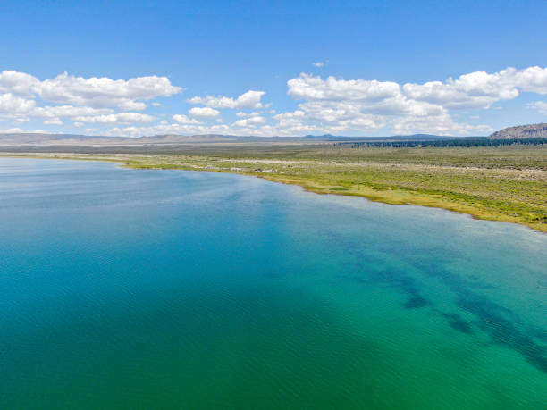 aerial view of mono lake blue clear water - mono county imagens e fotografias de stock