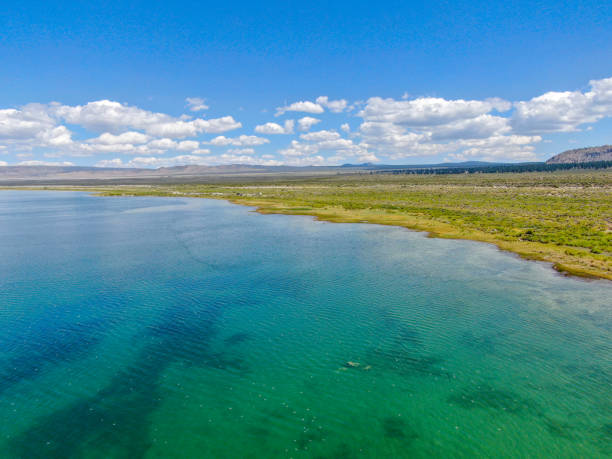 aerial view of mono lake blue clear water - mono county imagens e fotografias de stock