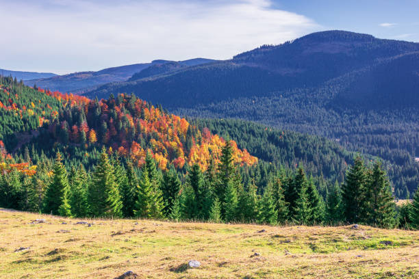 istock beautiful autumn mountain landscape 1167810616