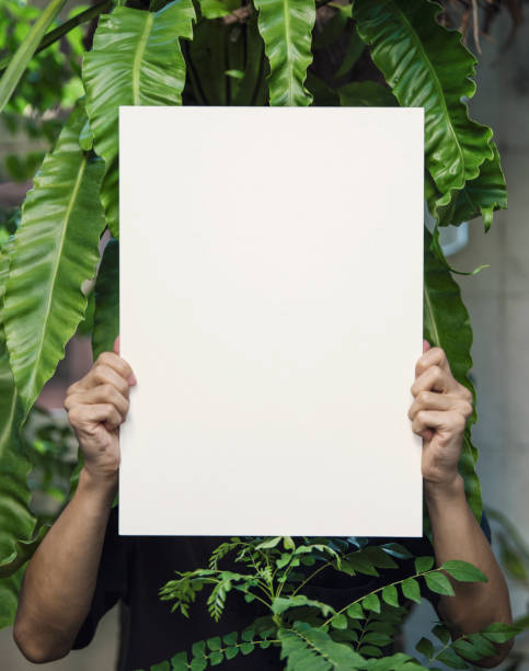 istock Hand Holding Blank Photo Frame for Design Mockup Template in the garden. 1167816416