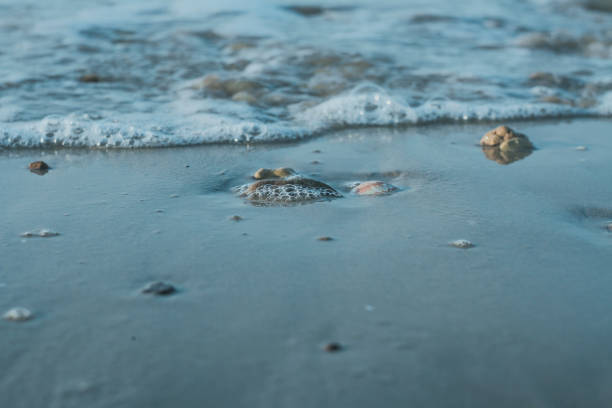 istock the small waves on the beach 1167816661
