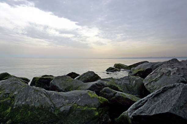 istock Seascape view from the shore with large mossy stones. 1167818226