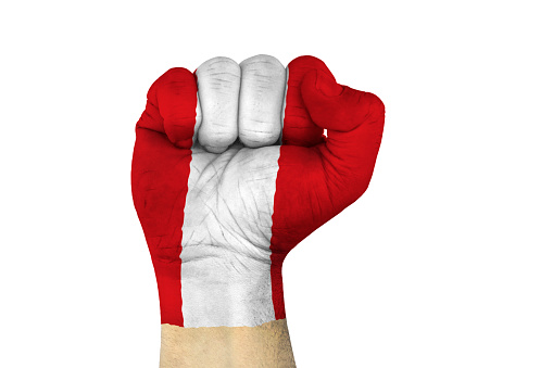 male hand in fist shape with flag covered