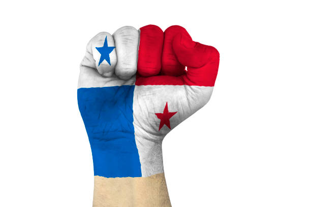 male hand in fist shape with flag covered