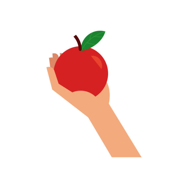 istock Hand holding red ripe apple with green leaf isolated on white background. 1167819845