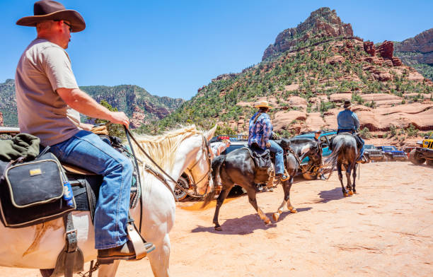 sedona arizona usa. czerwone pomarańczowe formacje skalne, błękitne niebo, słoneczny wiosenny dzień - cowboy horseback riding nature blue zdjęcia i obrazy z banku zdjęć