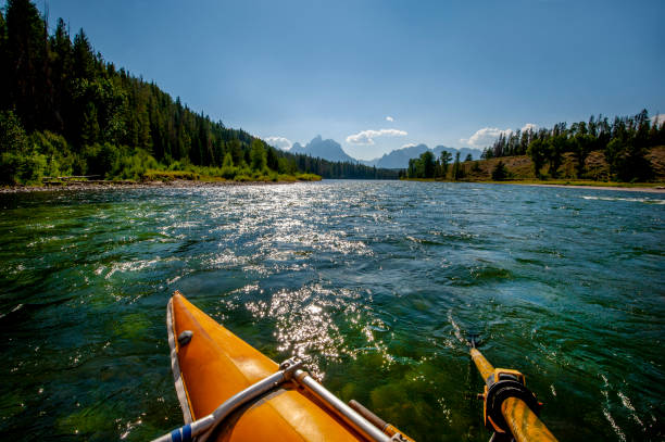 Canoe paddling down a wiry river