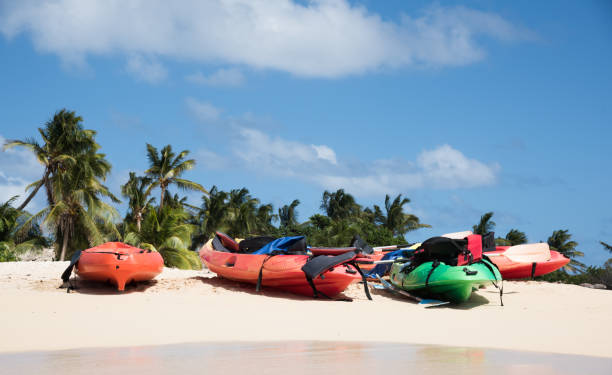 istock Colorful canoes on the sand 1167820191