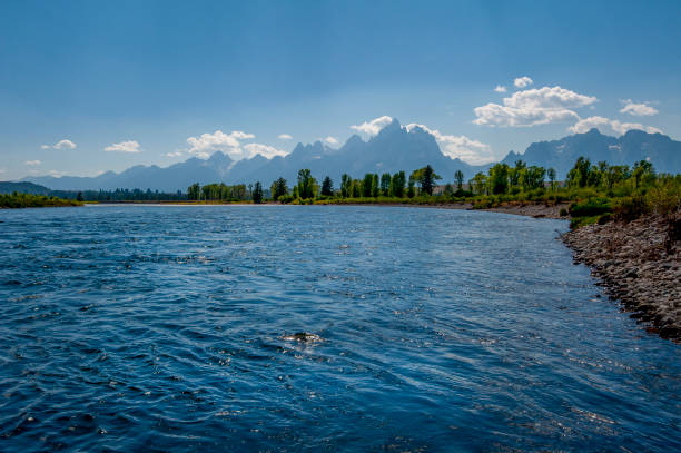 rzeka yellowstone z zakresem grand teton - mountain montana mountain peak mountain range zdjęcia i obrazy z banku zdjęć