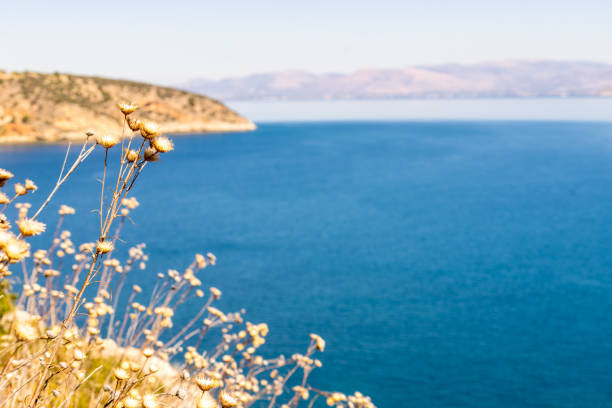 Southern Greece. Sea landscape greek coastline at sunny day, .