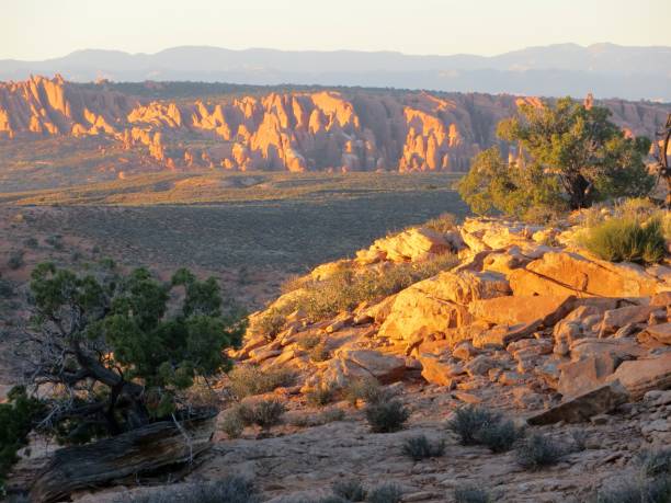 istock Arches National Park, Utah 1167825927