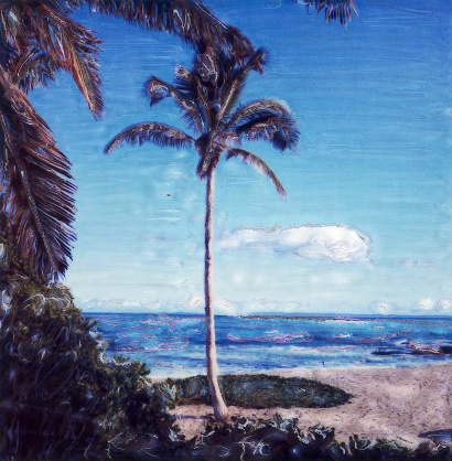 A polaroid manipulation of a palm tree growing on a beach in Hawaii, with the ocean and sky beyond.