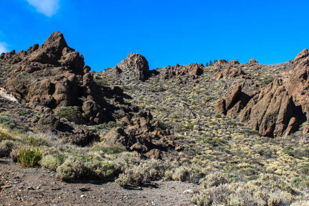 istock Teide national park, Tenerife 1167827687