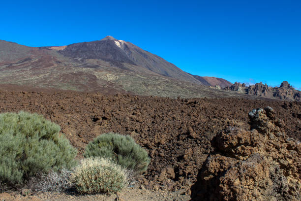 istock Teide national park, Tenerife 1167827690
