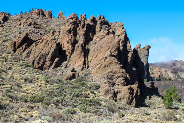 istock Teide national park, Tenerife 1167827691