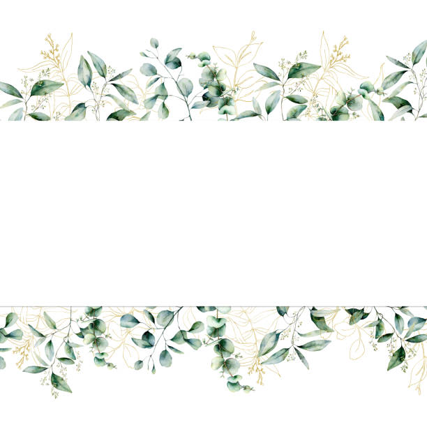 istock Watercolor gold eucalyptus seamless banner. Hand painted eucalyptus branch and leaves isolated on white background. Line art floral illustration for design, print, fabric or background. 1167832007