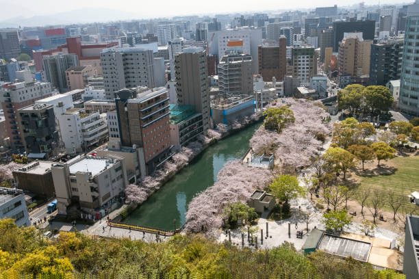 istock Fukuoka's downtown in the Spring time. 1167832023