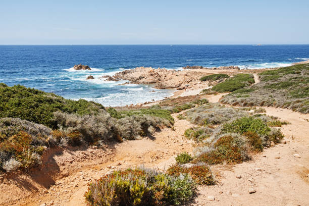 istock coast of mediterranean sea 1167833513