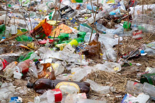 istock Garbage in the forest. Plastic and glass bottles in the Park. 1167836718