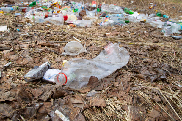 istock Garbage in the forest. Plastic and glass bottles in the Park. 1167836885