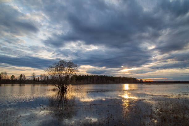istock Beautiful spring landscape with clouds at sunset. 1167838655