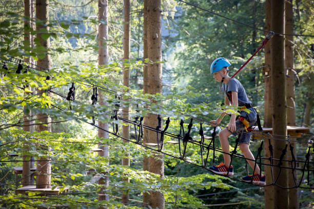 Challenge, adventure, success, breaking fear, balancing,trying new things concept. stock photo... Young boy at an adventure park fun stock photo canopy tour photos stock pictures, royalty-free photos & images