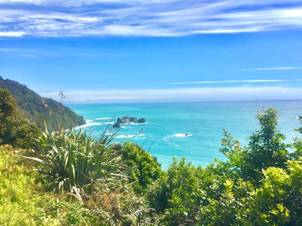 istock Hasst New Zealand 1167843613