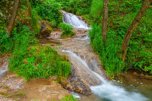 istock Gostilje waterfall on Zlatibor ,Serbia 1167844365