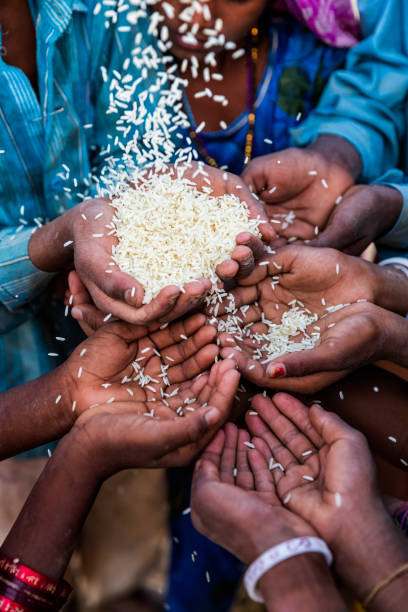 istock Hunger in Africa - hands asking for food 1167845567