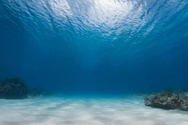 Undersea view and ocean floor in Cayman Brac Island, Cayman Islands