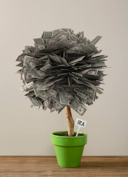 istock Money Tree Wealth and Retirement Savings Concept 1167847858