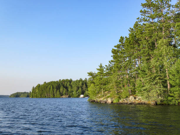 istock Treeline on a lake in Ontario's northwoods 1167848168