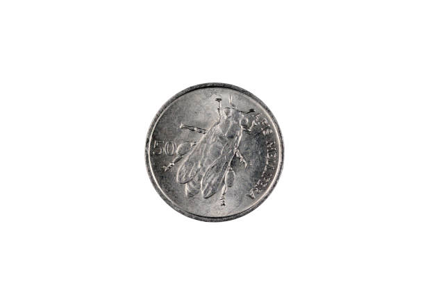 istock Slovenian Fifty Stotin Coin Isolated On White 1167850178