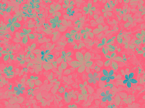 Abstract Background of Bright Pink and Teal Leaves - Photograph