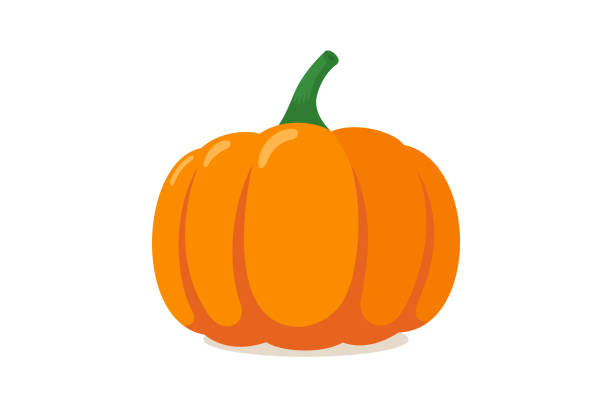 オレンジ色のカボチャ秋のハロウィーン野菜フラットグラフィックアイコンは、白い背景に隔離されています。ベクトルイラスト - スクワッシュ点のイラスト素材／クリップアート素材／マンガ素材／アイコン素材
