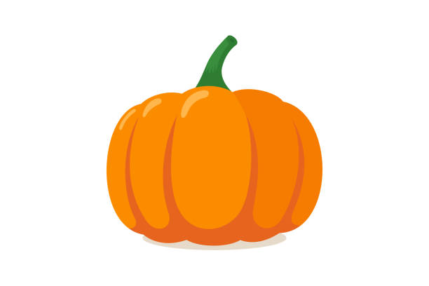 ilustrações, clipart, desenhos animados e ícones de abóbora alaranjada. ícone gráfico liso do vegetal de halloween do outono isolado no fundo branco. ilustração do vetor - lagenaria