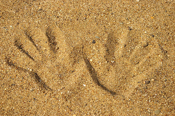 istock The Imprint two palms on song. 116785407