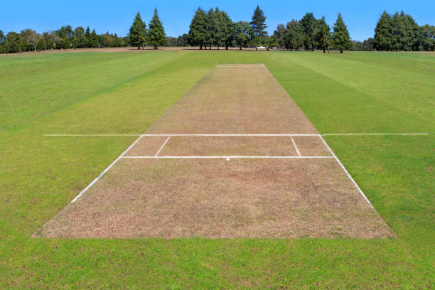 Cricket pitch empty summer sport green grass field background