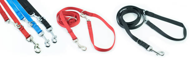 istock Pet supplies set about leash for pets isolated on white background. 1167863021