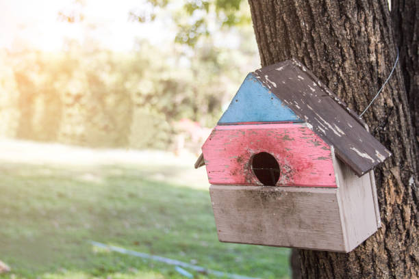 istock Squirrel's house on the trees at public park. 1167864272