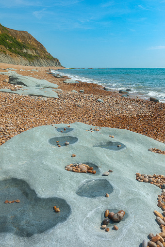 The beach of Seatown is rich of fossiles