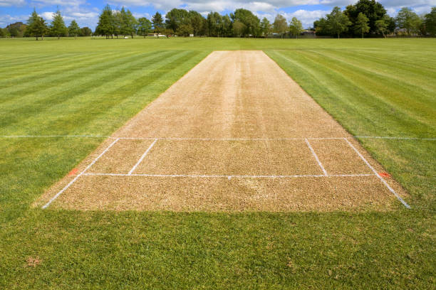 istock Cricket pitch sport grass field empty background 1167866941