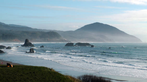 istock Oregon Coast Beach Landscape 1167869560