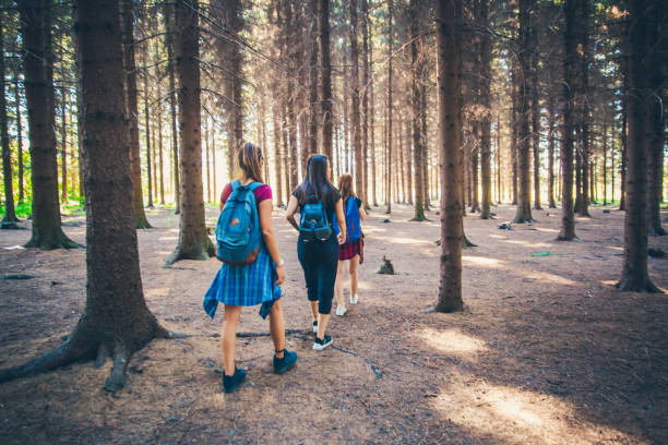 istock Women Hiking and exploring woodland 1167871176