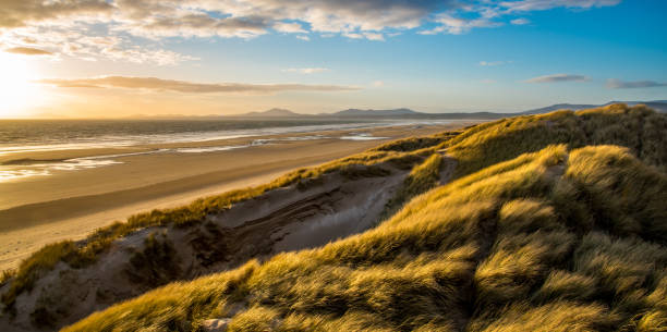 istock Evening sun over the sand dunes at Harlech Beach, Wales 1167871337